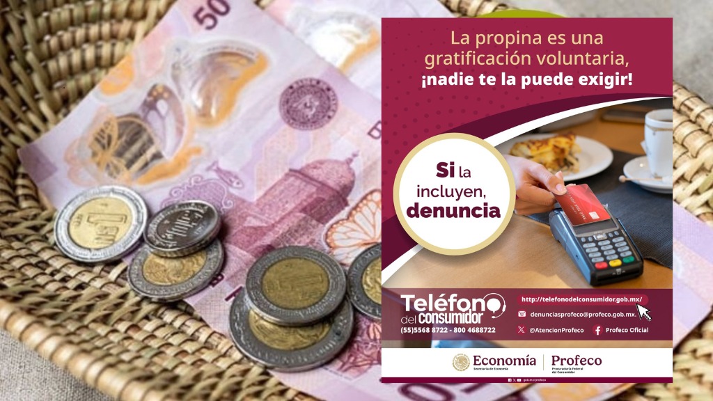 WhatsApp Image 2025-04-16 at 15.09.07