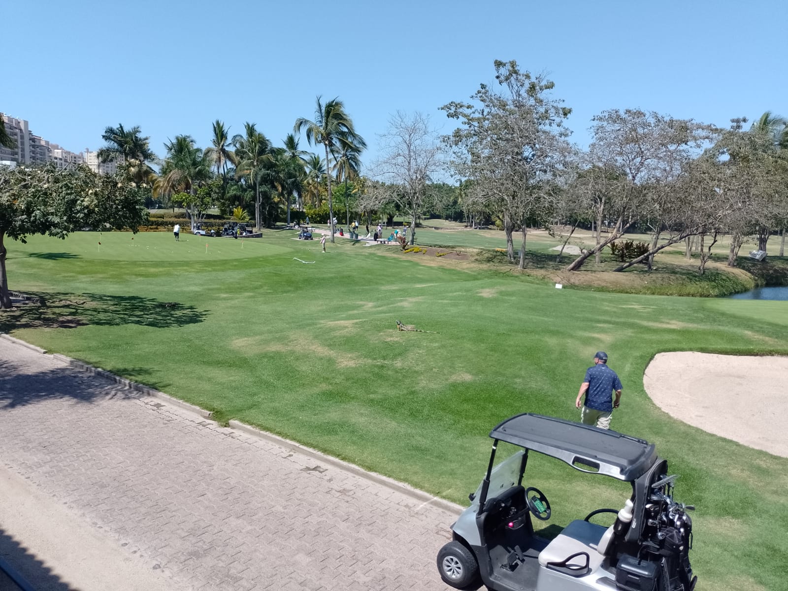 WhatsApp Image 2025-05-08 at 18.25.50