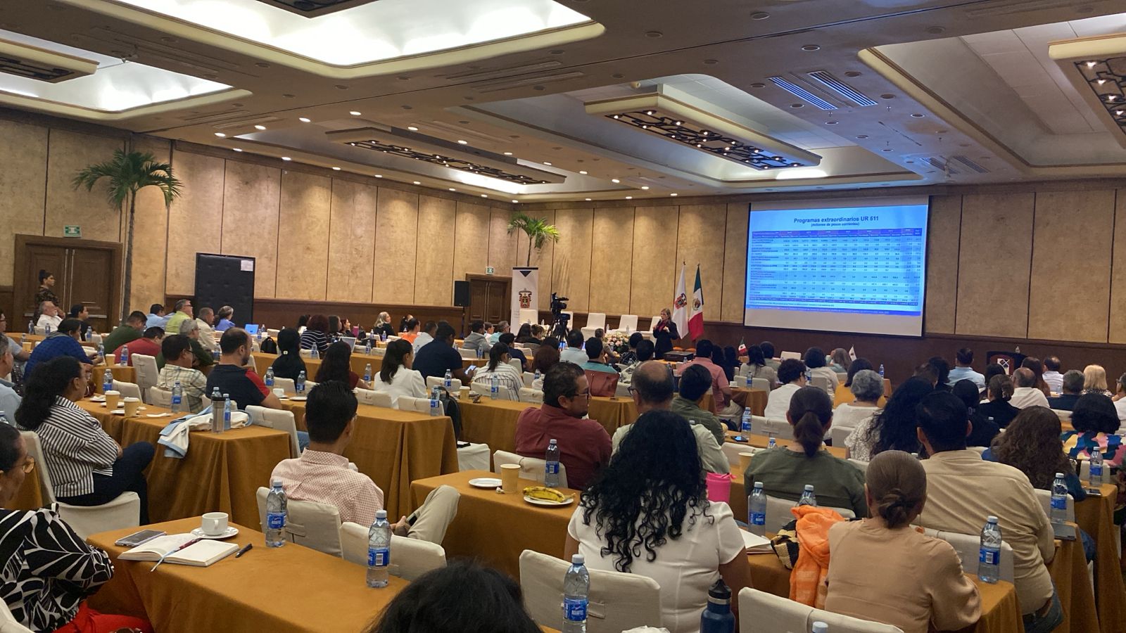 WhatsApp Image 2025-06-26 at 09.40.07