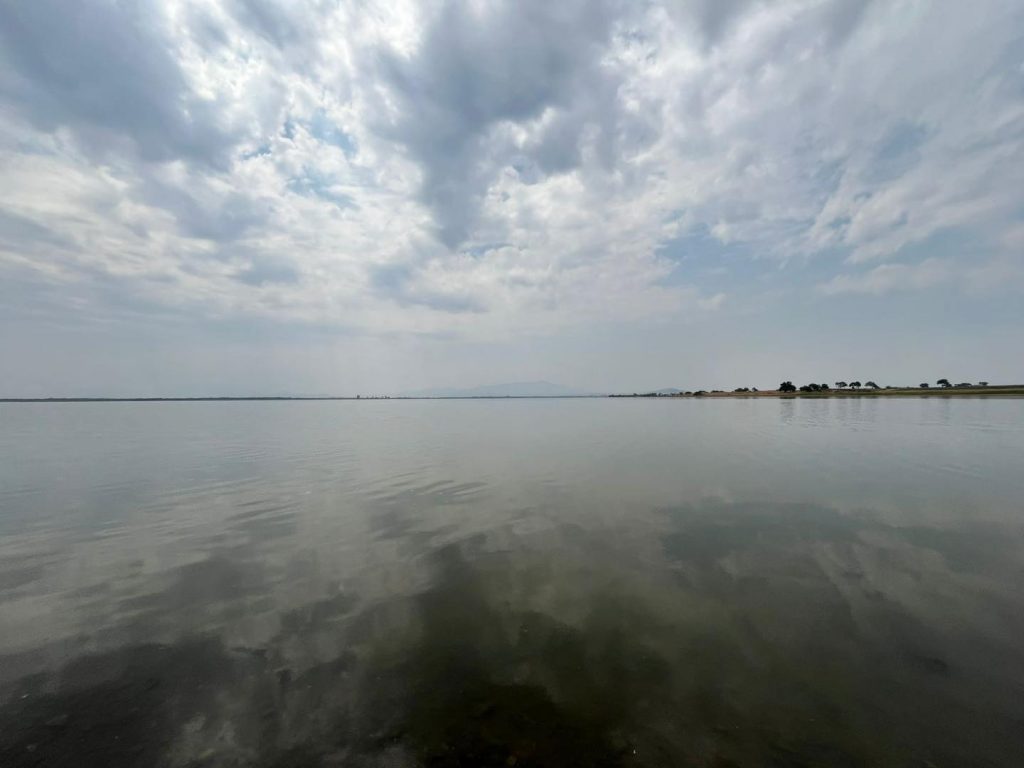 la vega