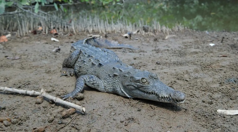 WhatsApp Image 2025-09-24 at 9.37.52 PM