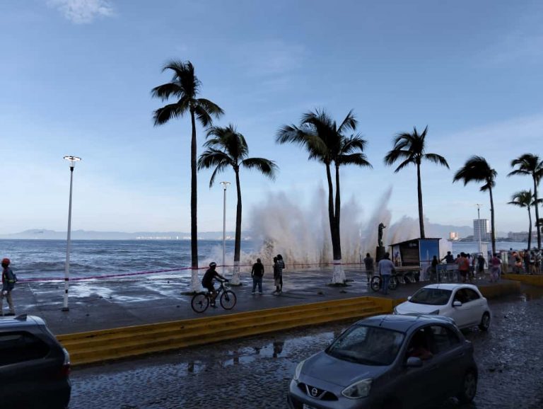 WhatsApp Image 2025-10-07 at 08.38.07