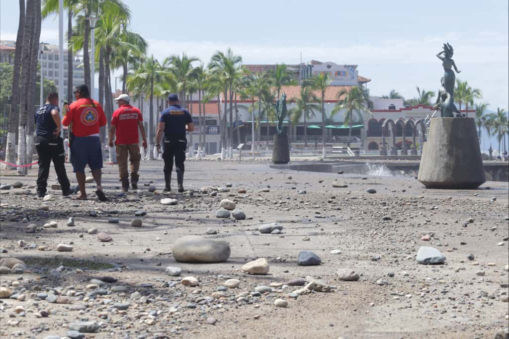 WhatsApp Image 2025-10-07 at 14.21.30