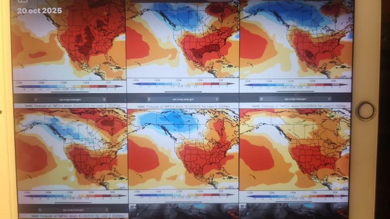 WhatsApp Image 2025-10-23 at 09.33.31