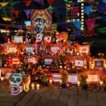 WhatsApp Image 2025-11-03 at 1.34.09 PM (6)