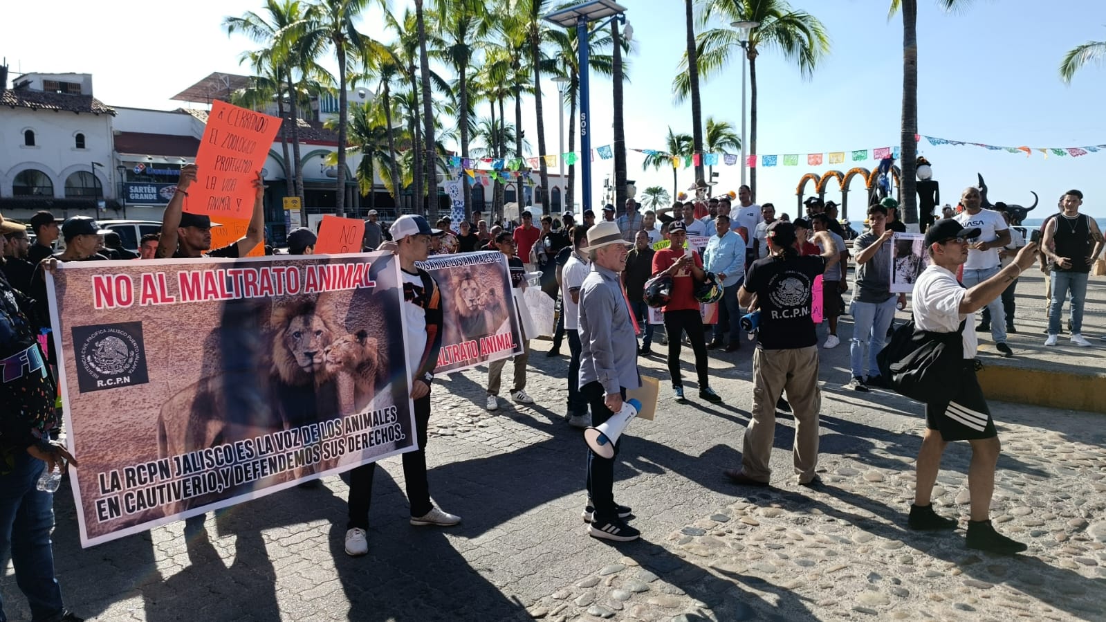 WhatsApp Image 2025-11-06 at 4.00.46 PM