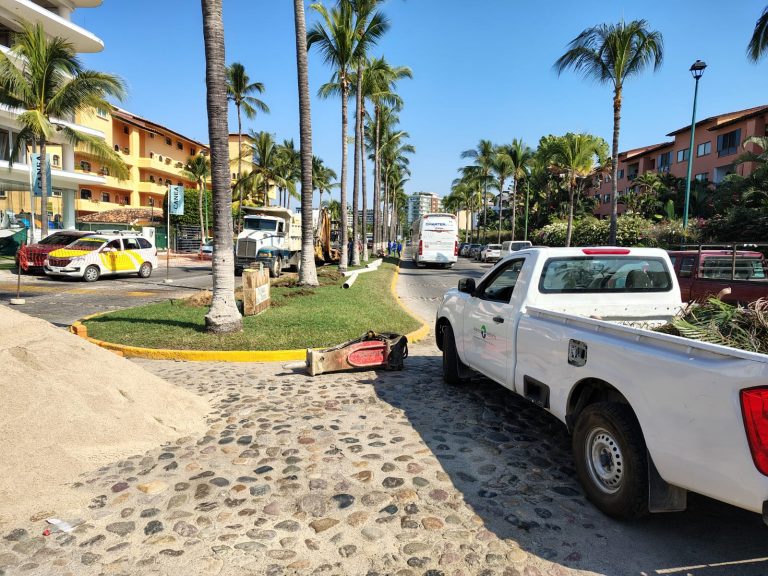 WhatsApp Image 2025-11-20 at 12.17.16 PM (1)