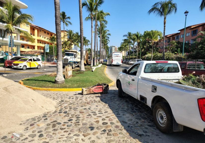 WhatsApp Image 2025-11-20 at 12.17.16 PM (1)