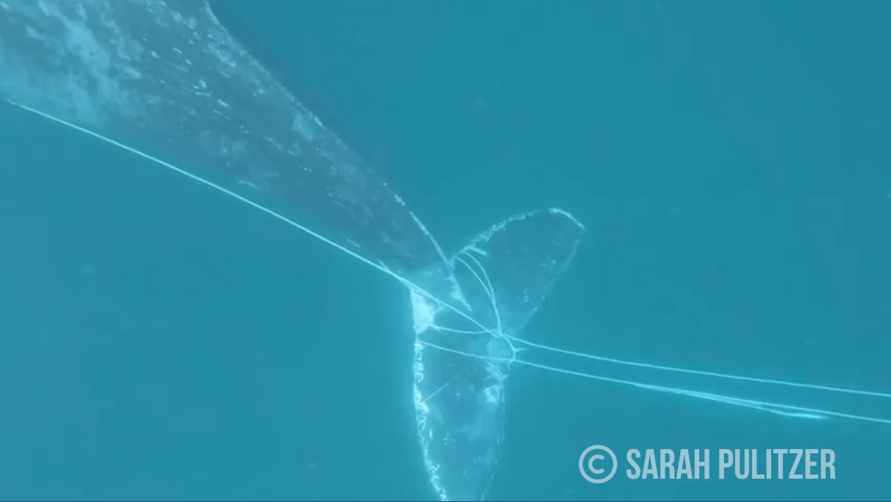 WhatsApp Image 2025-12-19 at 5.39.55 PM