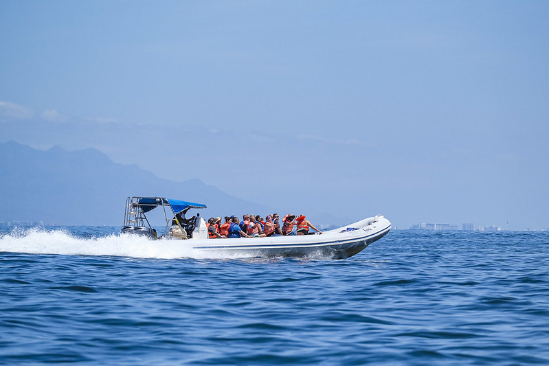 55026115557_afe4bae04f_c