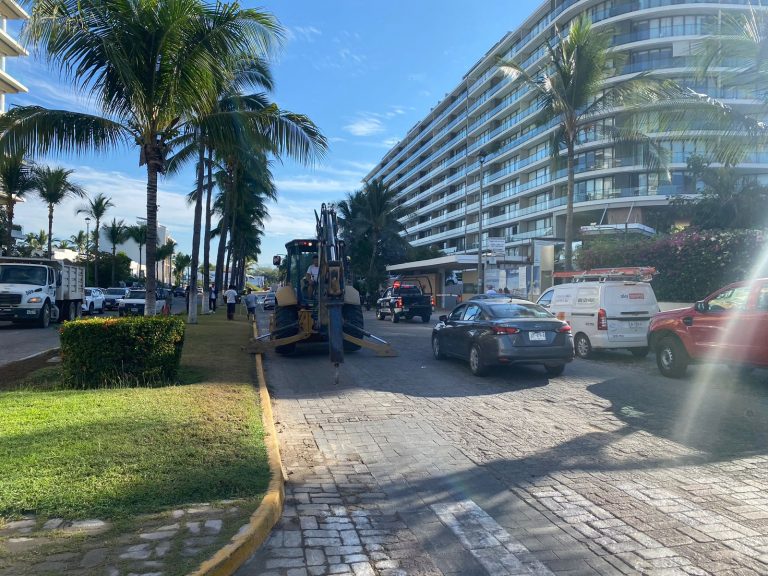 WhatsApp Image 2026-01-03 at 10.28.22 AM (1)