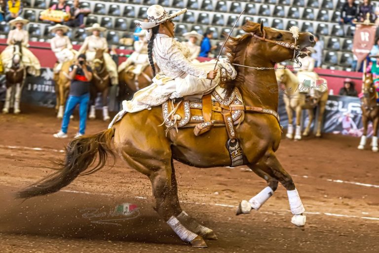 WhatsApp Image 2026-01-28 at 4.18.06 PM