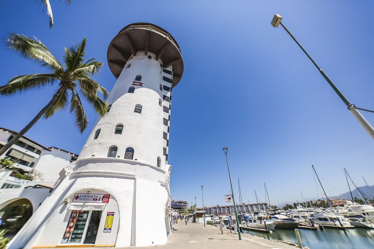 55153634711_89606221f0_c