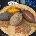 WhatsApp Image 2026-03-23 at 2.52.31 PM