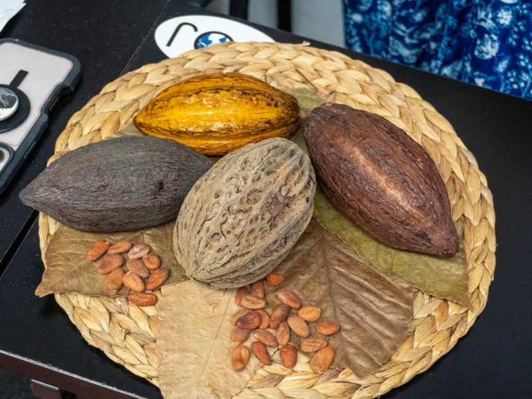 WhatsApp Image 2026-03-23 at 2.52.31 PM