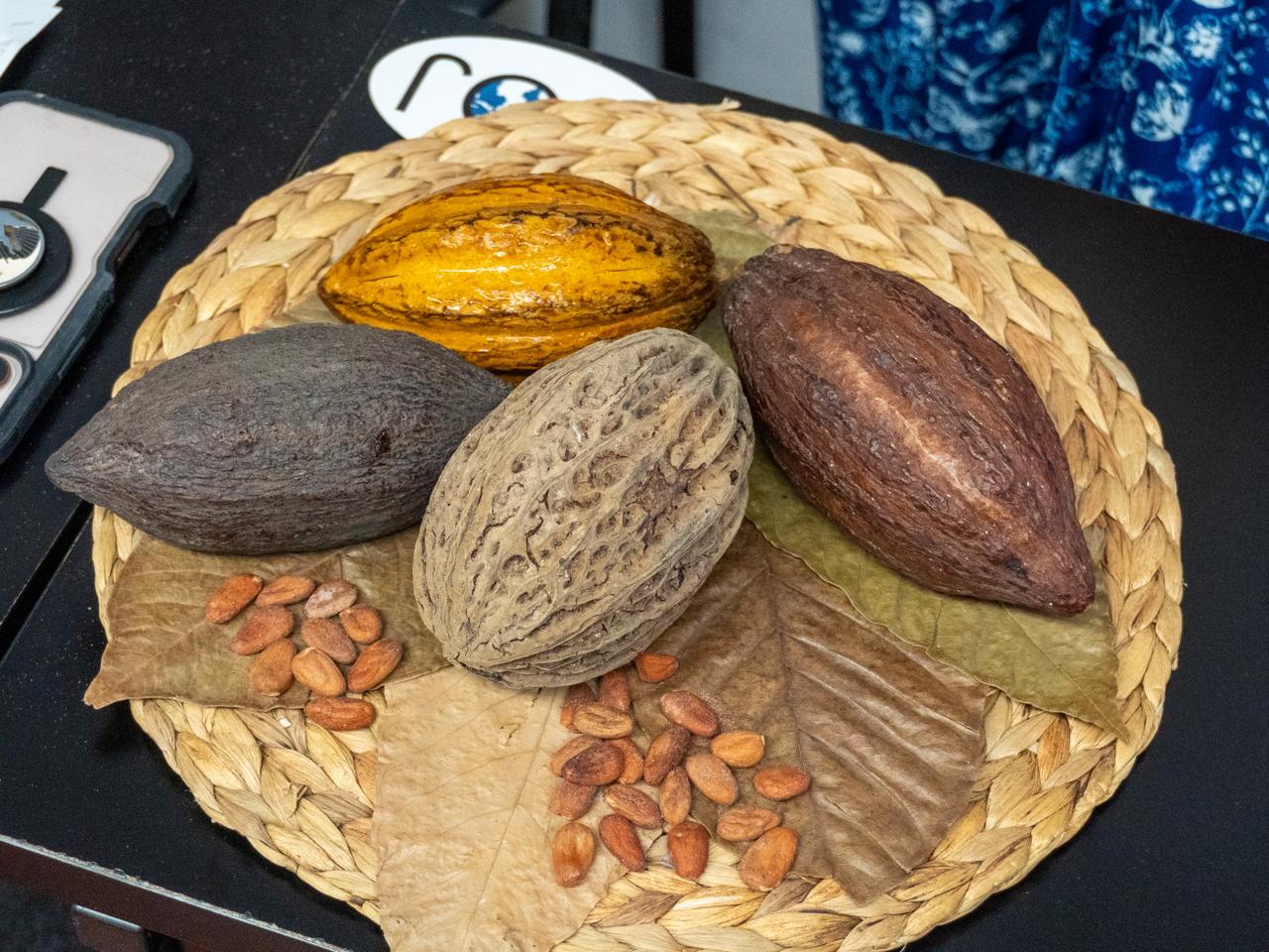 WhatsApp Image 2026-03-23 at 2.52.31 PM