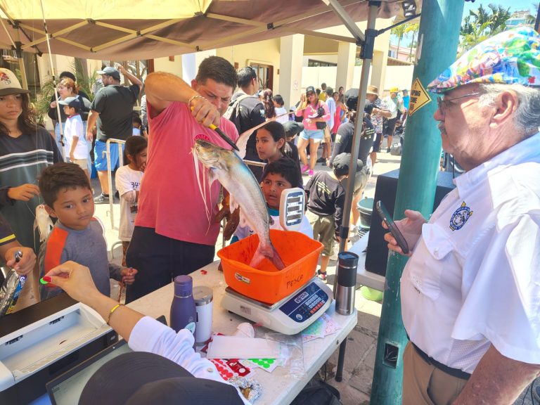 WhatsApp Image 2026-04-26 at 12.21.23 PM (2)