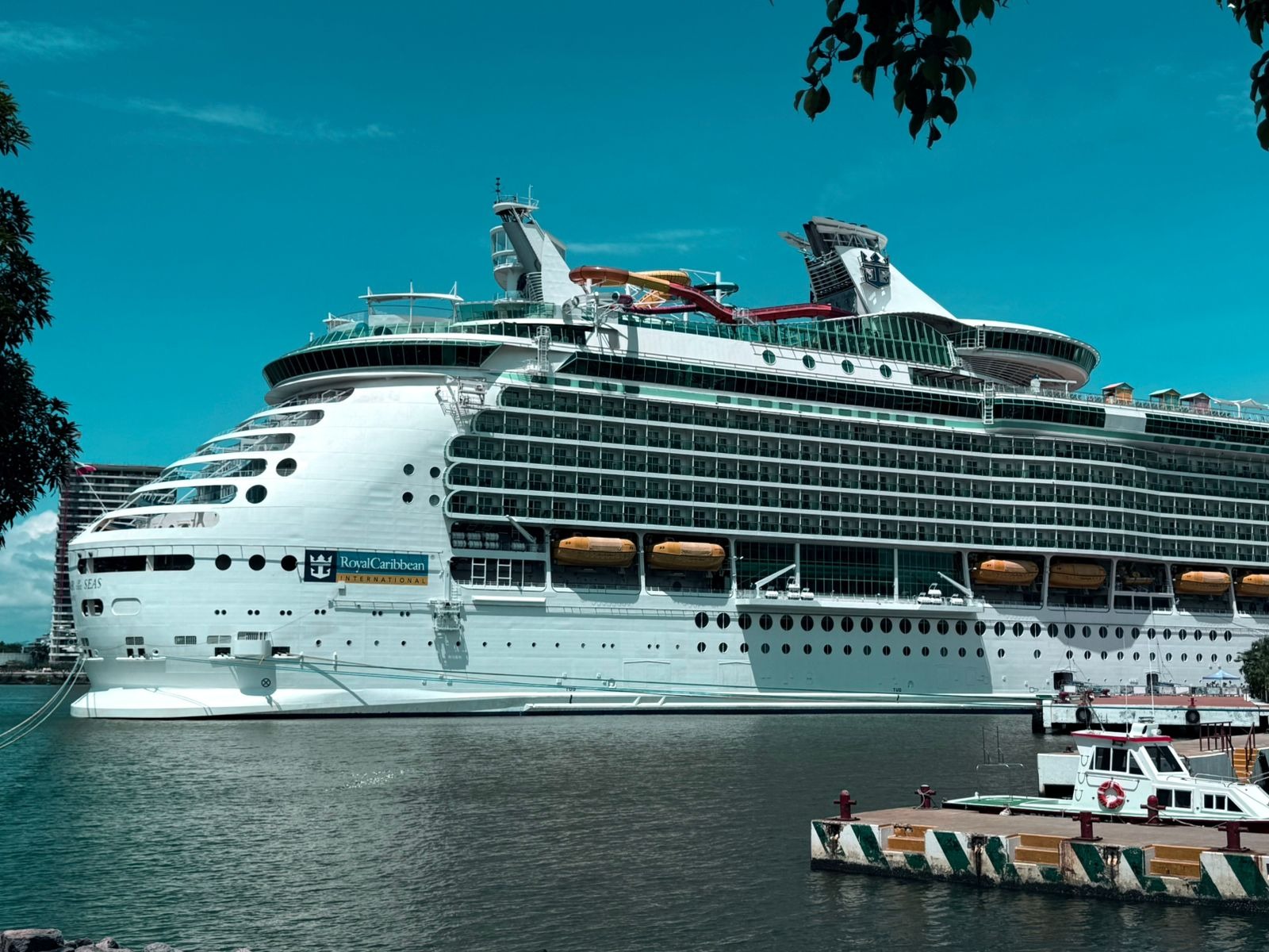 WhatsApp Image 2026-04-28 at 3.29.21 PM