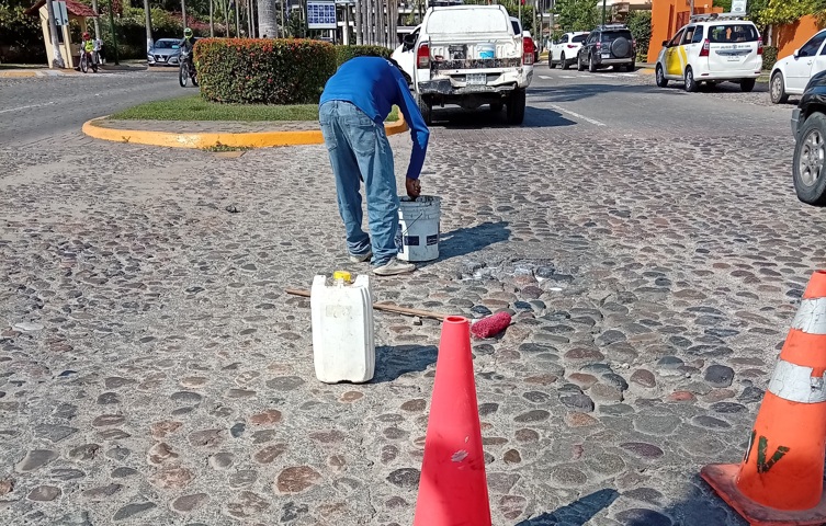 microbacheo